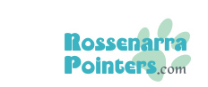 Rossenarra Pointers